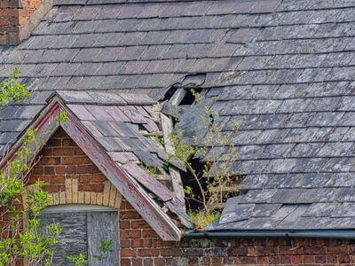 Professional water damage restoration services in Carson - OpalVeil